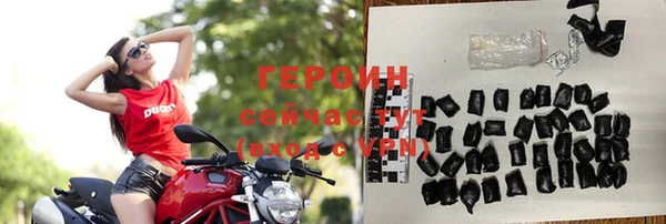 сатива Новодвинск