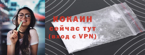сатива Новодвинск