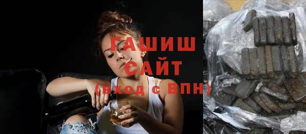 сатива Новодвинск