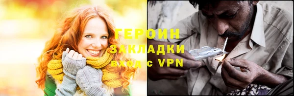 сатива Новодвинск