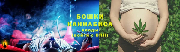 сатива Новодвинск