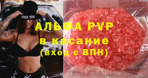 сатива Новодвинск