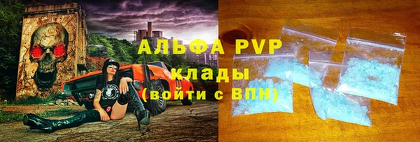 сатива Новодвинск