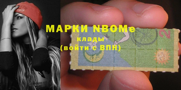 сатива Новодвинск