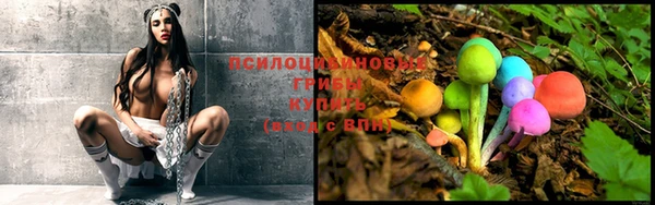 дурь Новозыбков