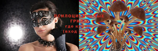 дурь Новозыбков