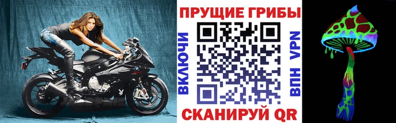 Купить где  Каргополь  Галлюциногенные грибы GOLDEN TEACHER 