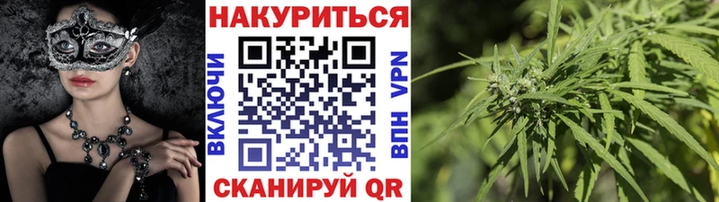 Шишки марихуана конопля  Купить закладки  Каргополь 